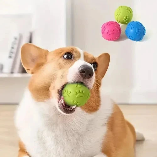 HERŞEYTREND Pati Desenli Dayanıklı Köpek Isırma Topu ürün görseli 1