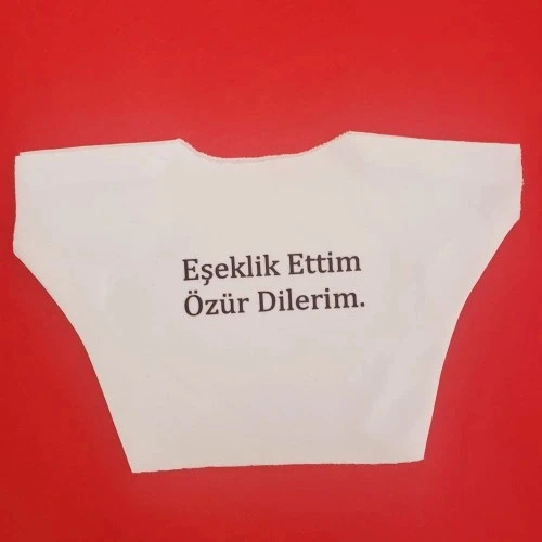 HERŞEYTREND Eşeklik Ettim Yazılı Oyuncak Tişörtü ürün görseli 1