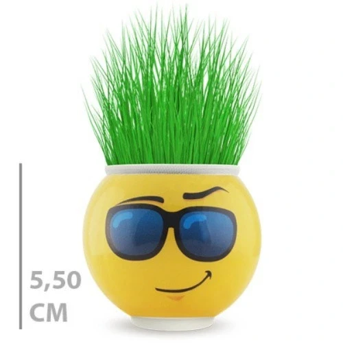 HERŞEYTREND Çim Adam Saksı Emoji Figürlü 1 Adet ürün görseli 1