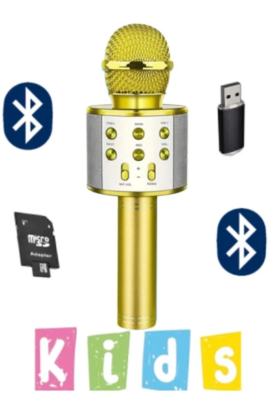 10numara Karaoke Mikrofon Dahili Hoparlörlü Usb Flash Tf Kart Destekli Ses Değiştirme Efektli Çocuk Mikrofonu ürün görseli 1