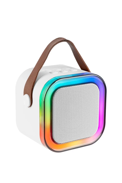 Prozone Karaoke Mikrofonlu Bluetooth Hoparlör - Resim 2