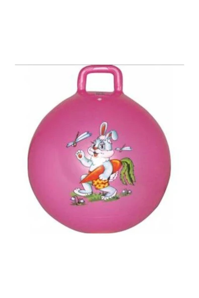 Star J-16 Kız Çocuk Pembe Plates Zıp Zıp Topu 45 Cm Çocuk Boyu ürün görseli 1