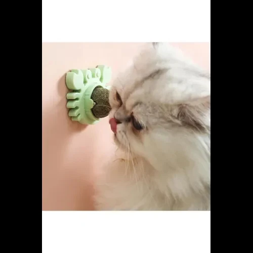 HERŞEYTREND Yengeç Kedi Otu Oyun Topu ürün görseli 1