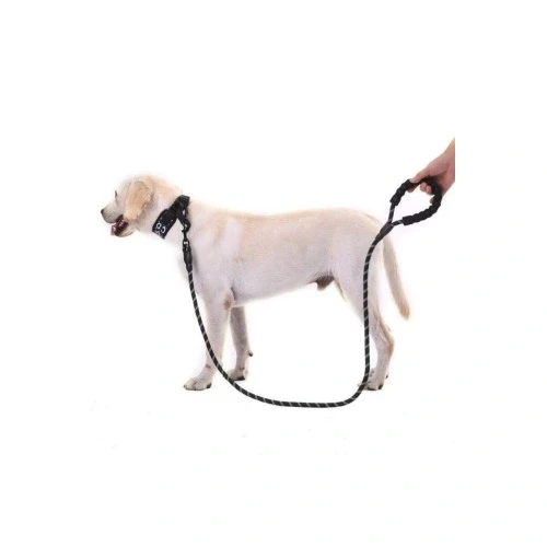 HERŞEYTREND Reflektörlü Köpek Tasması 130 Cm. - Resim 2