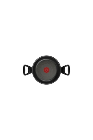 Tefal Titanyum 3X Force 20 cm Sahan - Resim 4