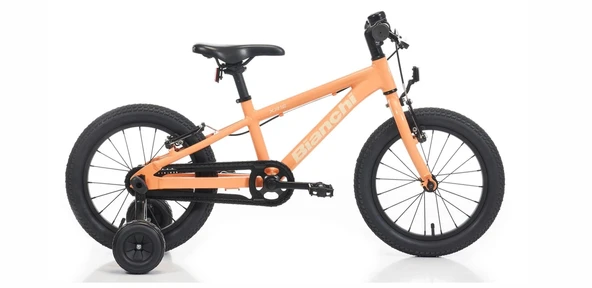 XR16 KIZ ÇOCUK BİSİKLETİ 240H V 16 JANT DH YAVRUAĞZI KREM