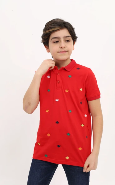 Toontoy Erkek Çocuk Baskılı Polo Yaka Düğmeli Kısa Kollu Tişört ürün görseli 1
