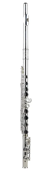 SILVER SFL-190ES Gümüş Kaplama C Flüt (Case Dahil) - Resim 2