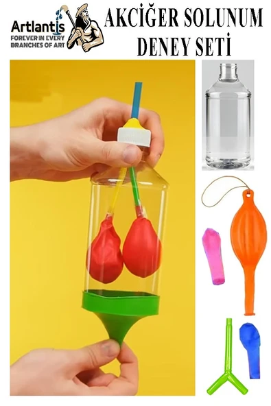 Akciğer Solunum Deney Seti 1 Adet Kutulu Plastik Şişe Y Borusu Balon Tıpa Akciger Model Yapımı Deney Fen ürün görseli 1