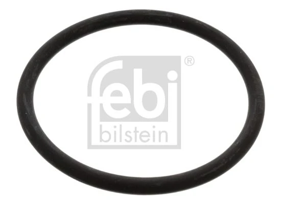 O RING TERMOSTAT İÇİN AMAROK 4MOTION S1 BORA 1J BORA IV ürün görseli 1