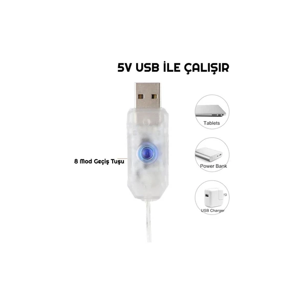 LEBRON USB Kumandalı Dekoratif LED 3 M - Resim 4