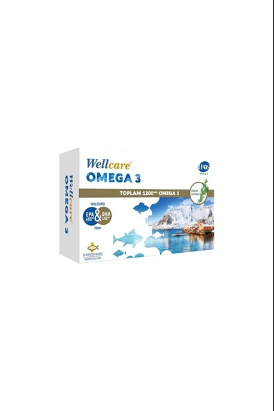 Wellcare Omega 3 Balık Yağı 1200 mg 30 Kapsül ürün görseli 1