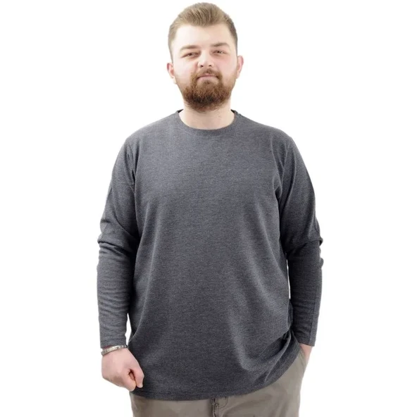 Büyük Beden Erkek Sweatshirt Bisiklet Yaka Uzun Kol WAFFLE 23460 Antrasit ürün görseli 1