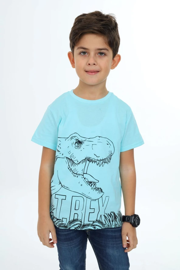 Toontoy Erkek Çocuk Baskılı Bisiklet Yaka Kısa Kollu Tişört ürün görseli 1