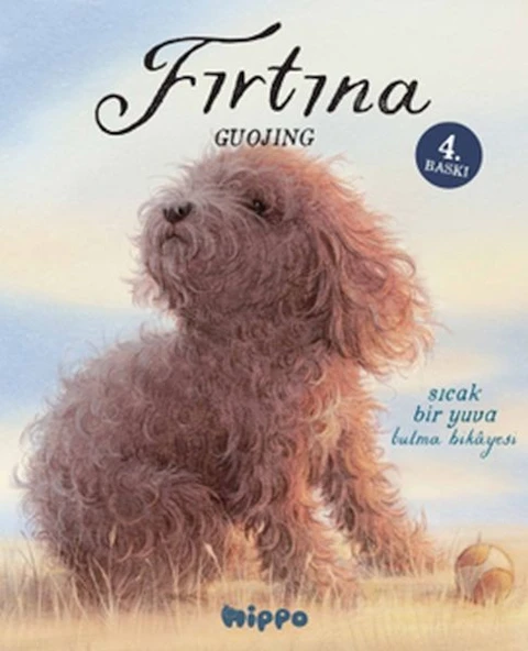 Fırtına ürün görseli 1