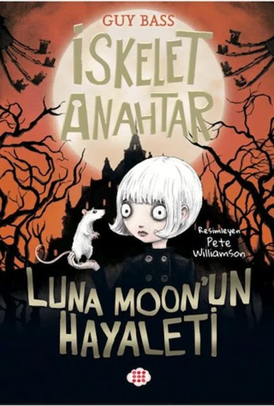İskelet Anahtar 2 - Luna Moon’un Hayaleti ürün görseli 1