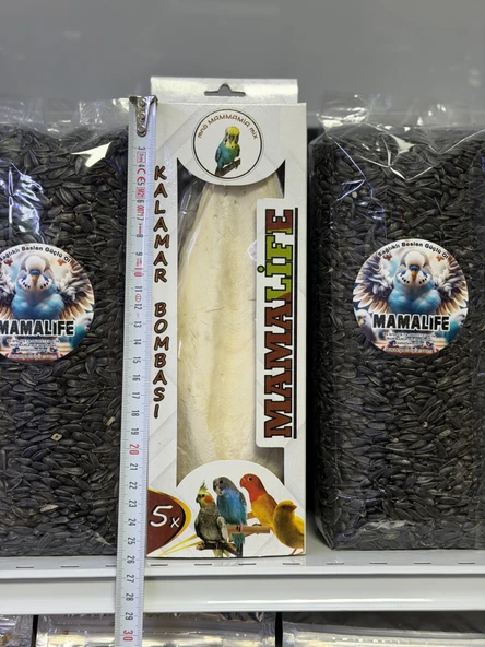 Kalamar Kemiği 25 cm Üzeri ürün görseli 1