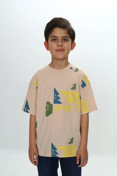 Toontoy Erkek Çocuk Baskılı Bisiklet Yaka Kısa Kollu Tişört ürün görseli 1