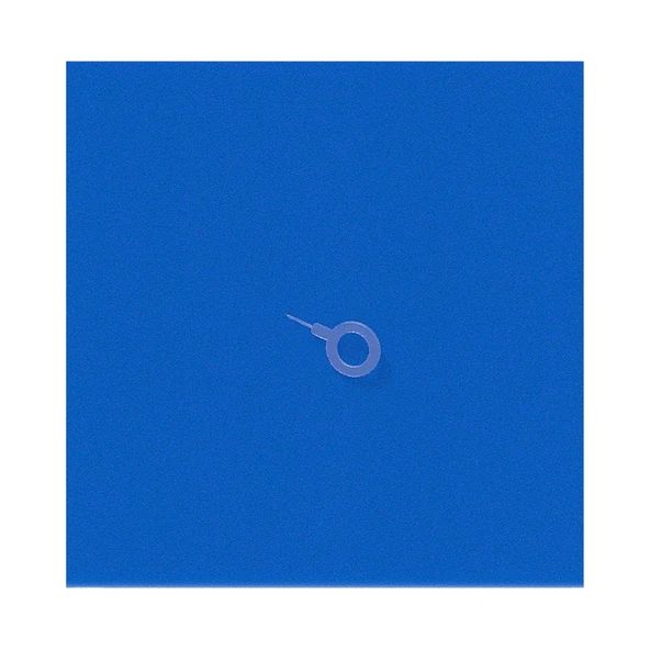 Philips Elektrikli Süpürgeler ile Uyumlu CP1894/01 Yıkanabilir Sünger Filtre ürün görseli 1