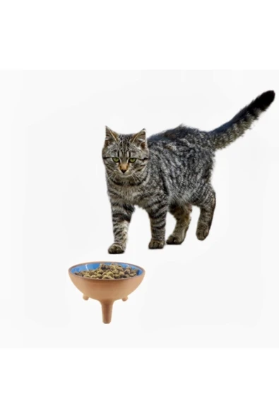 çömlek diyarı KEDİ MAMA-SU KABI - Resim 2