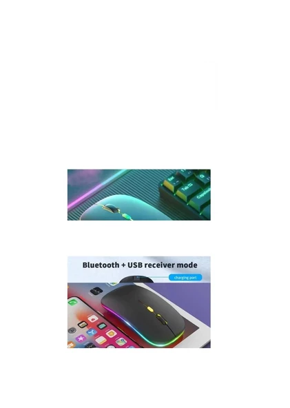Raynox RX-M208 Kablosuz Bluetooth ve USB Mouse - SİYAH - Resim 4