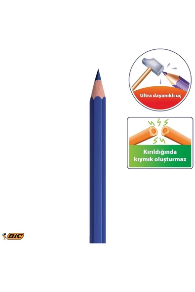 Bic Evolutıon Kuru Boya Kalemi 24Lü Kod:937515 - Resim 3