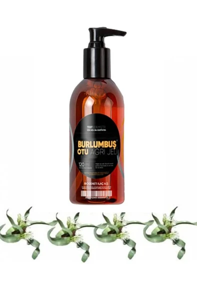 Burlumbuş Otu Rahatlatıcı Bakım Masaj Jeli 120 ml X 1 Adet ürün görseli 1