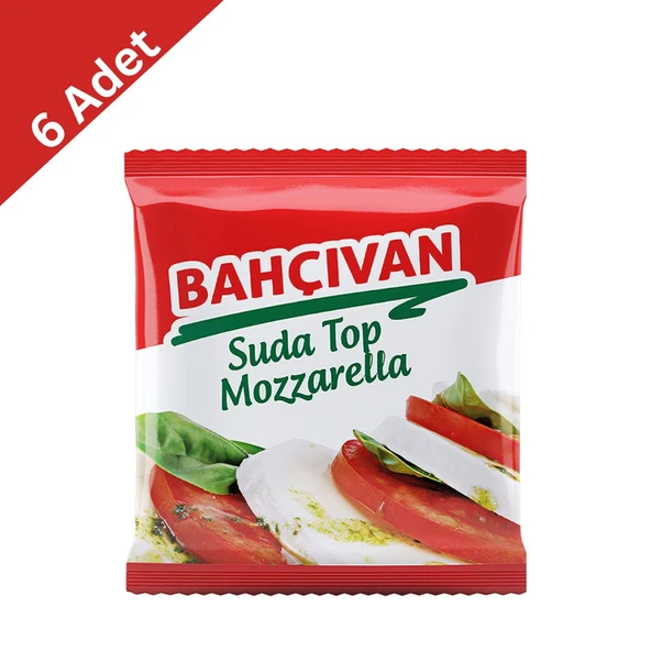 Bahçıvan Suda Top Mozarella 125 gr x 6 Paket ürün görseli 1