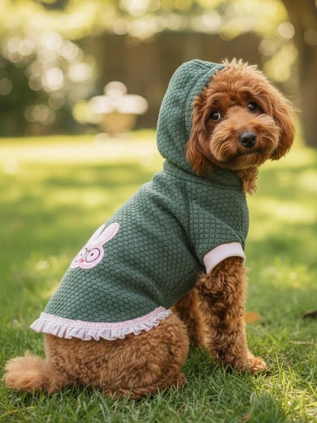 BunnyPop Kapüşonlu Köpek Elbisesi – Yeşil Pembe ürün görseli 1