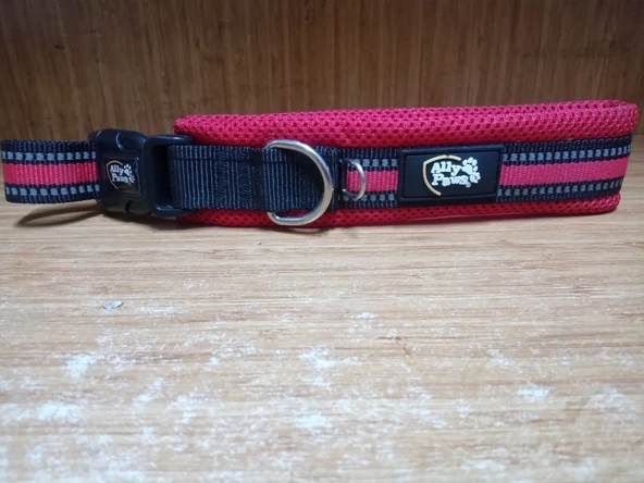 Ally Paws Dog Collar Köpek Boyun Tasması Large ürün görseli 1