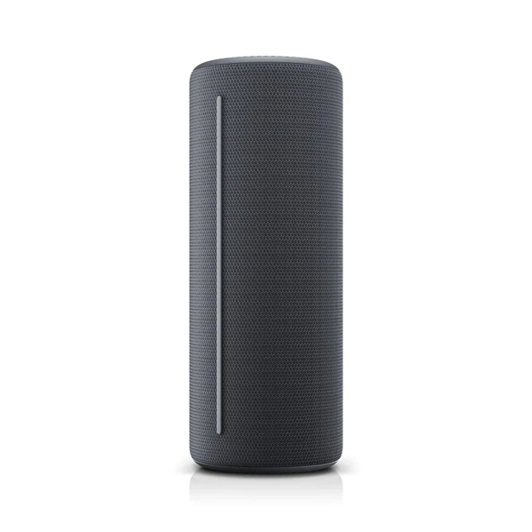 Loewe Hear 1 Bluetooth Hoparlör Storm Grey ürün görseli 1