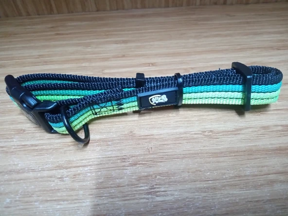 Ally Paws Dog Collar KÖPEK BOYUN TASMASI Medıum 2CMX35-50CM ürün görseli 1