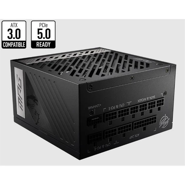 MSI MPG A1000G Gen5 1000 W Power Supply ürün görseli 1
