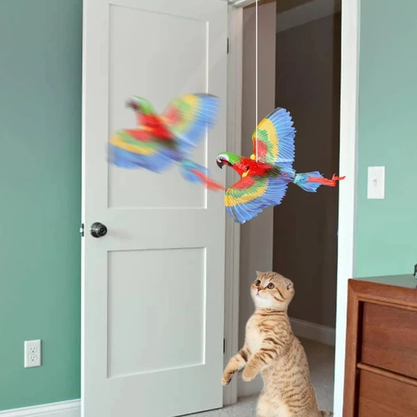 Uçan Papağan Kedi Oyuncağı - Resim 5
