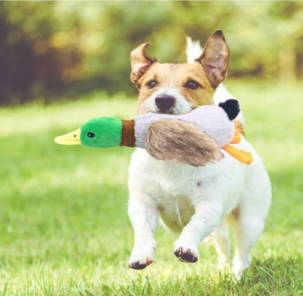 Sesli Ördek Şekilli Peluş Köpek Oyuncağı ürün görseli 1