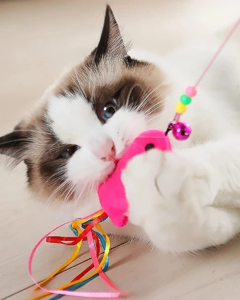 Balıklı Kedi Oyun Oltası - Resim 2
