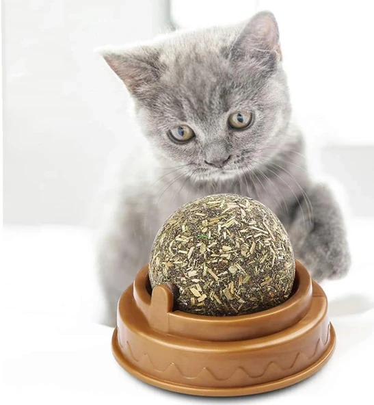 Kedi Nanesi Oyun Topu - Resim 4