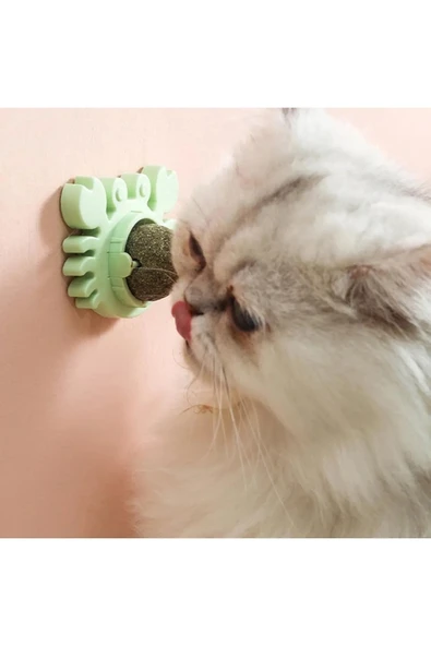 Yengeç Kedi Otu Oyun Topu - Resim 3