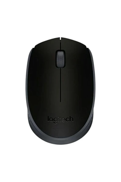 M171 Kablosuz Mouse, 2,4 GHz, USB Mini Alıcılı, 12 Aylık Pil Ömrü, Sağ ve Sol Elle Kullanım ürün görseli 1