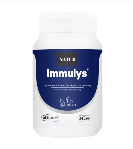 Natur Immulys Bağışıklık (İmmün Sistem) Destekleyici 60 Tablet - L-Lysine ve Vitamin Kompleksi ürün görseli 1
