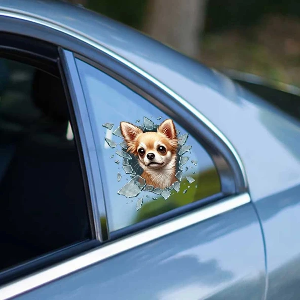 Fulcar Chiuahua Araç Stickerı ürün görseli 1