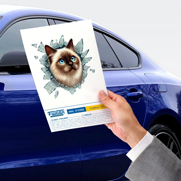 Fulcar Siamesse Araç Stickerı - Resim 3