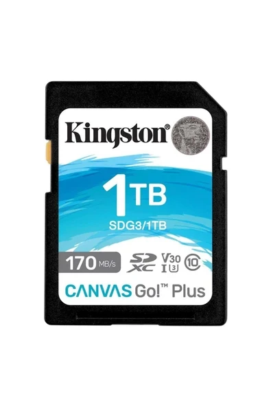 SDG3-1TB 1TB SDXC Canvas Go Plus 170R C10 UHS-I U3 V30 Hafıza Kartı ürün görseli 1