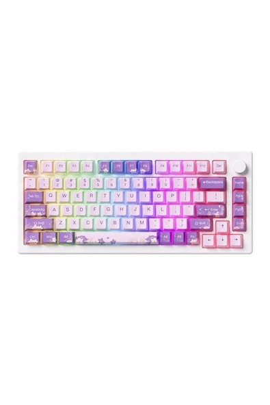 AKKO MOD 007 HE PC Purple Melody Hall Effect Manyetik Switch RGB Hotswap Mekanik Gaming Klavye ürün görseli 1