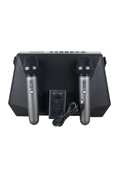 SL-3A İki El Mikrofonlu Kumandalı USB/SD/BT Portatif Hoparlör ürün görseli 1