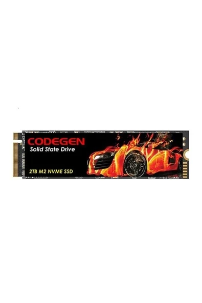 2TB CDG-2TB-NVME 3600- 3000MB/s M2 PCIe NVMe Gen3 Disk ürün görseli 1