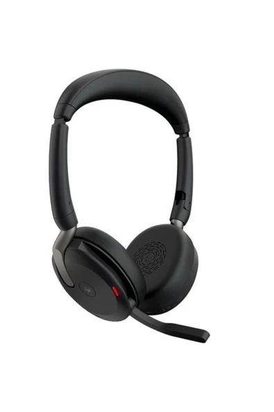 Evolve2 65 Flex USB MS (Jabra Türkiye Garantili) ürün görseli 1