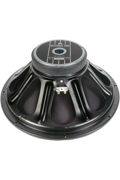 38 CM 300W 8 OHM YEDEK HOPARLÖR ürün görseli 1