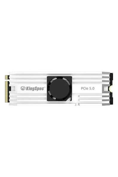 KINGSPECVP101-1TBPCIE5-10000-10000MBS ürün görseli 1