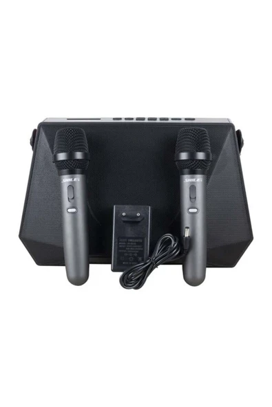 Art Sl-3A İki El Mikrofonlu Kumandalı Usb/Sd/Bt Portatif Hoparlör Lab ürün görseli 1